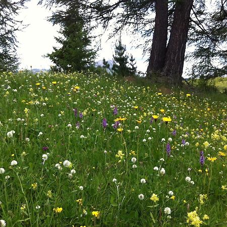 Ciasa Wallis Badia  Dış mekan fotoğraf